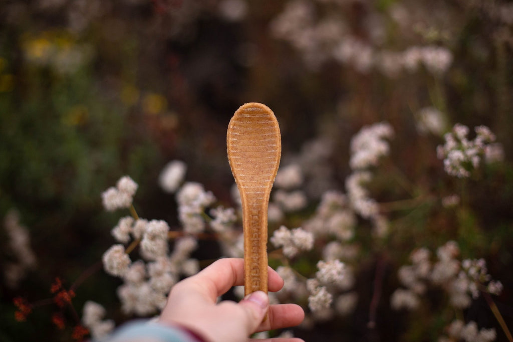 The secret life of compostable  spoons